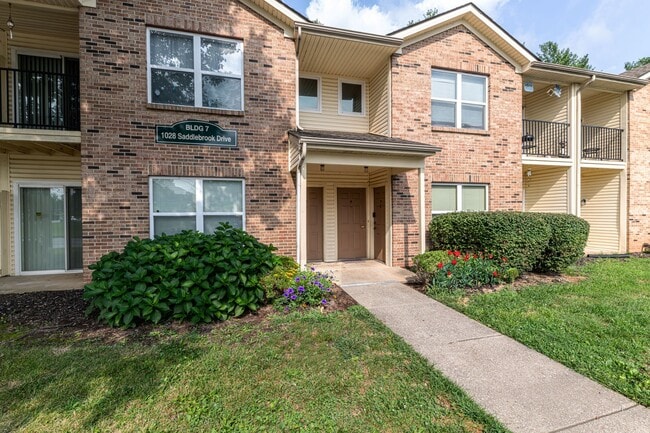 Saddlebrook - Saddlebrook Apartments