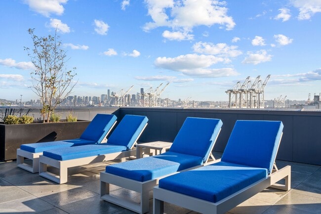 Rooftop Deck