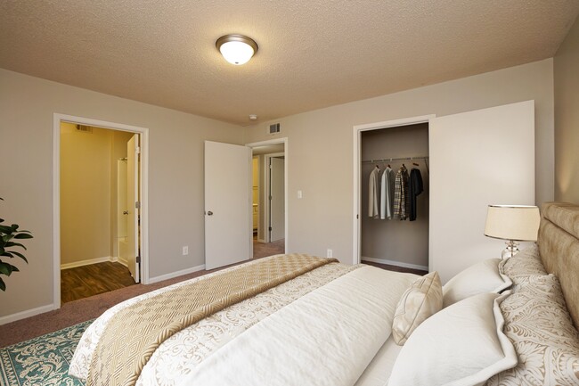 Photo - Winding Creek