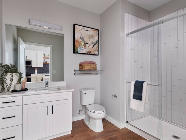 Photo - AVE Constitution