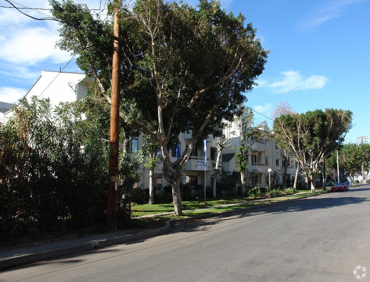 obstrucción de árboles - 5315 Harmony Ave