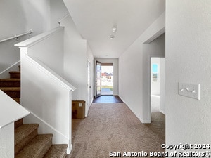 Photo - 14838 House Wren Fall