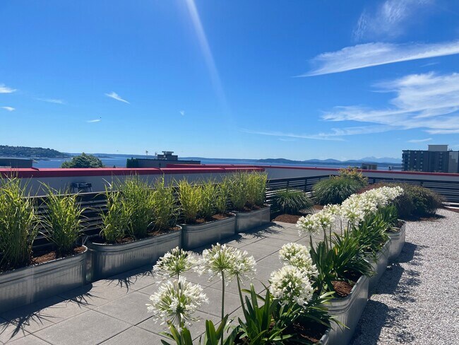 Queen Anne Flats