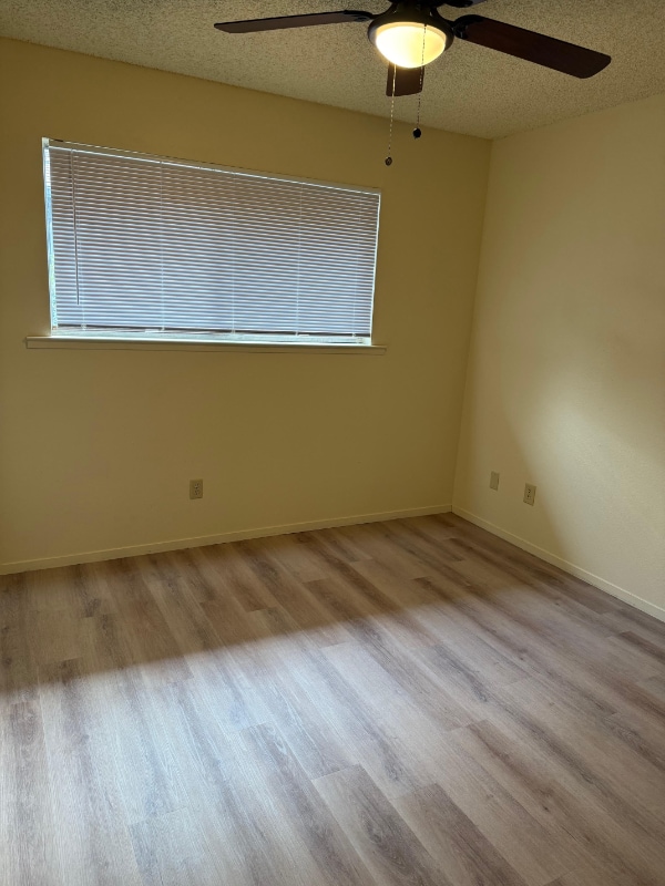 Building Photo - 310 Center St