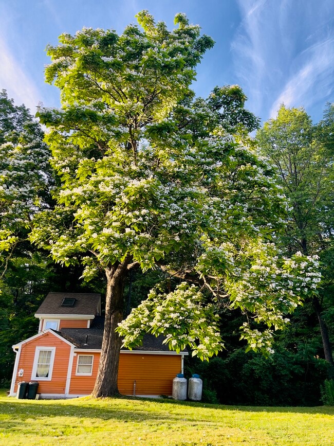 Photo - 256 Shelburne Falls Rd