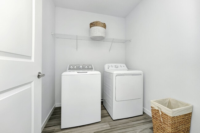 Photo - NOVO Avian Pointe