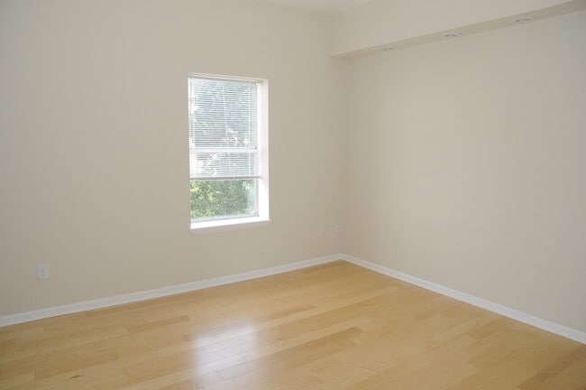 Photo - 115 College Pl Apartamentos Unidad D