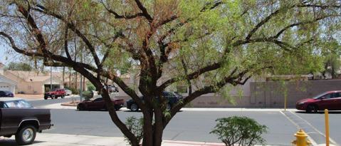 Photo - 1864 Fossil Butte Way