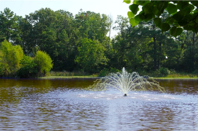 Lakefront Apartments Fountain