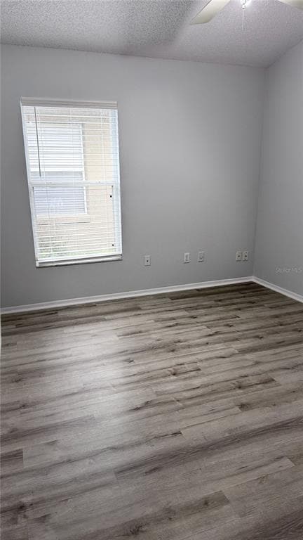 Photo - 1804 Palmetto Pine Ln