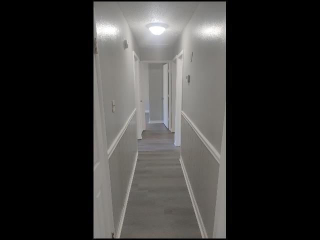 Photo - 203 Winchester Trail