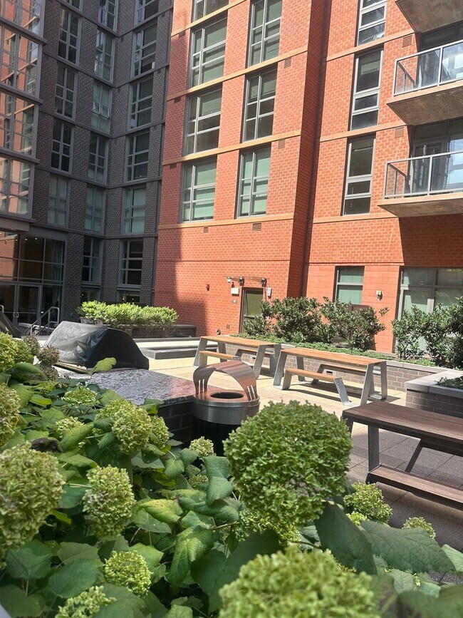 Photo - 1 Bedroom 1 Bath Condo Near Capitol Hill