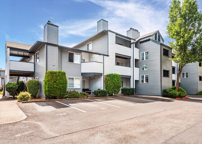 Photo - Mountain Meadows