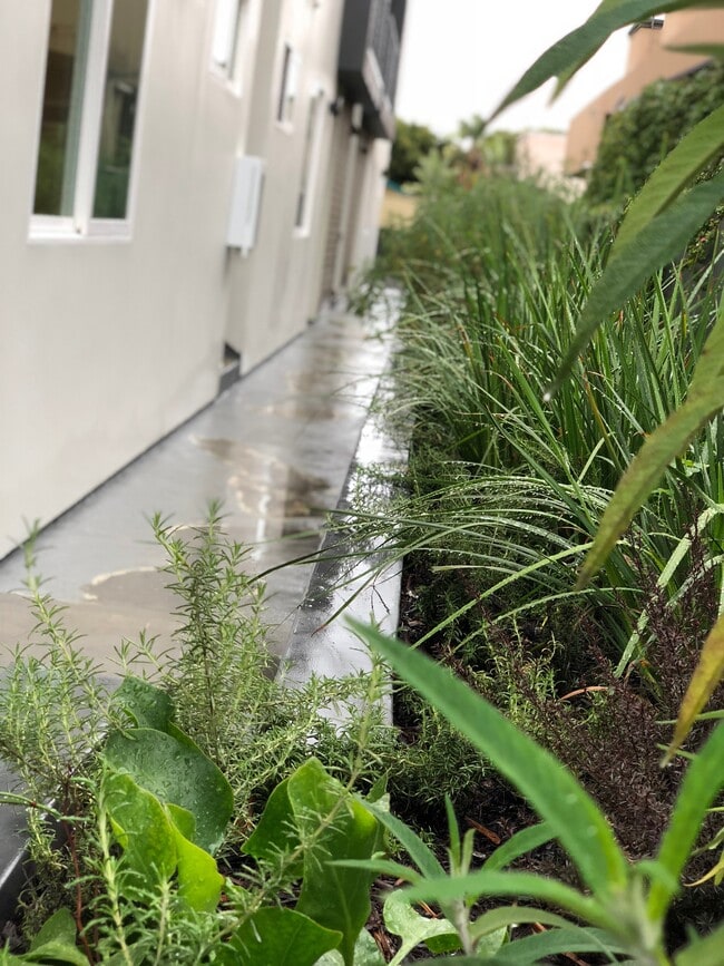 Photo - 1750 10th St Unit 204