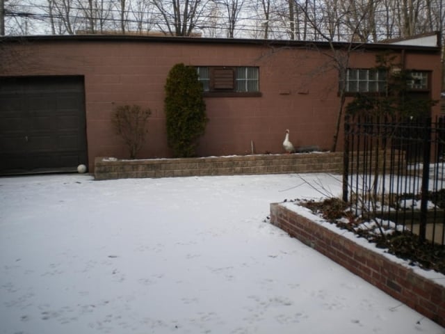 Garage - 6912-6914 N Wayne Ave