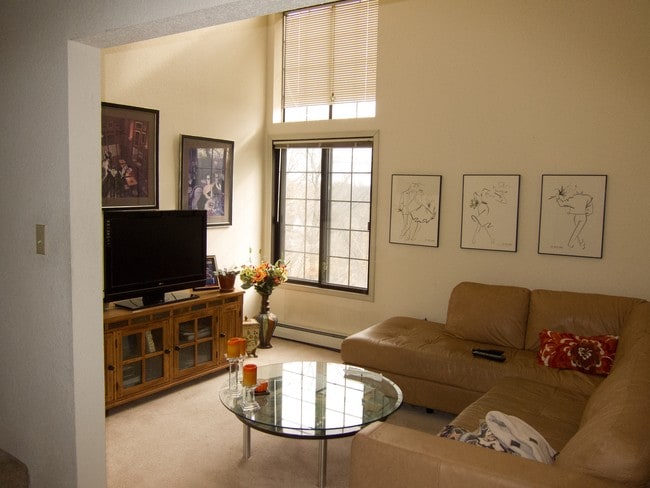 Den - The Overlook Apartments