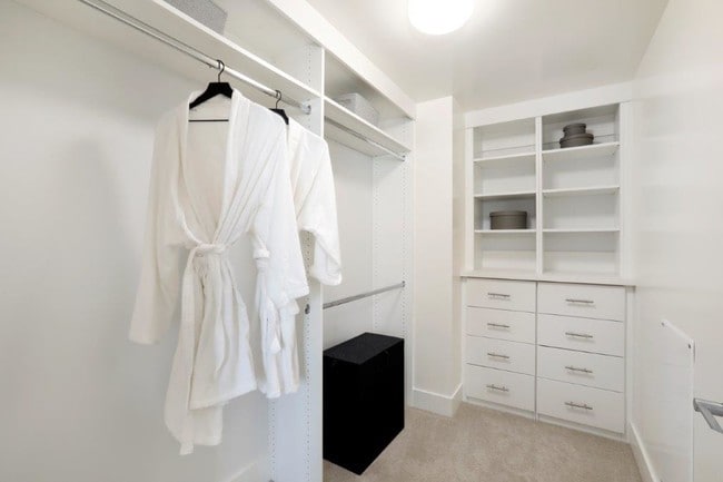 Spacious walk-in closet
