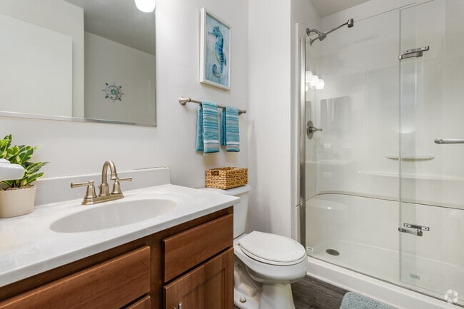 2BR, 2BA - 987SF - Primary Bathroom