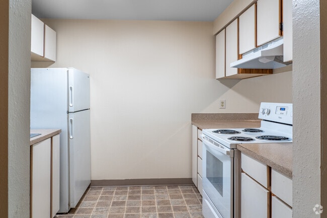 2BR, 2BA, - 1000SF - Kitchen
