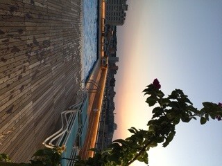 The Greenhouse Apartments For Rent In Boston Ma Forrent New Rooftop Pool Deck The Greenhouse Apartments