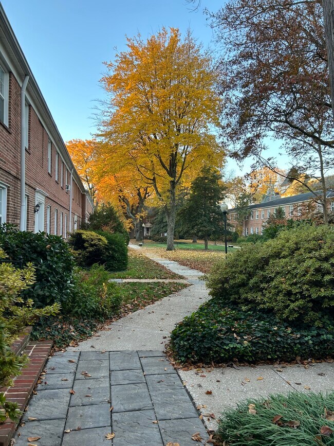 Photo - Park Lynn Apartments