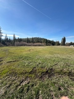 Building Photo - 1524 Alves Rd