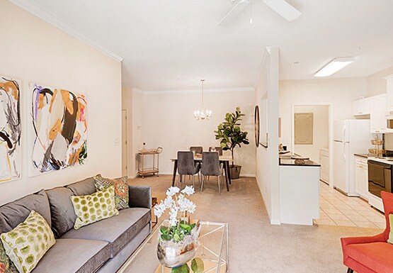 Photo - Clairmont at York Apartments