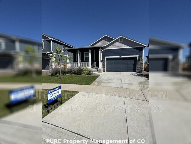 Building Photo - 6378 N Halifax Ct
