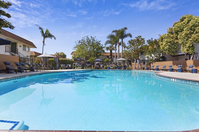 Terra Camarillo