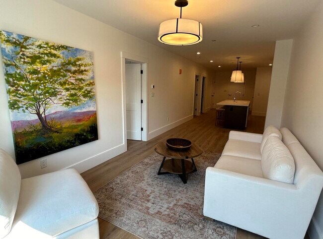 55 Water St Unit 203