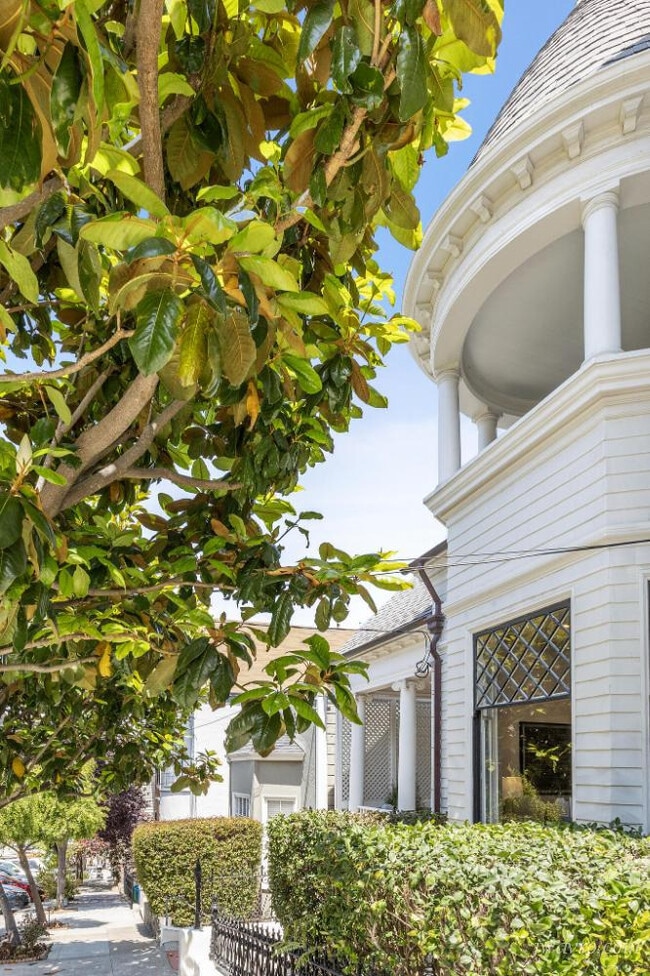 Photo - 251 Collingwood St