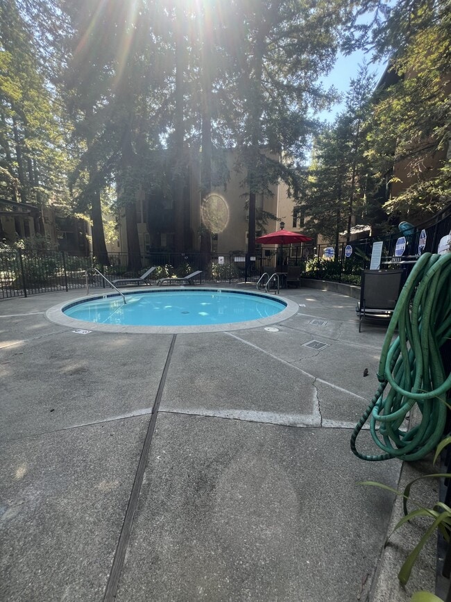 Photo - 155 Sharene Ln