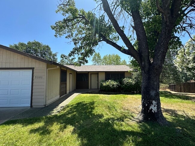 Photo - Well maintained home on 1.14 acres - Landscaping included!