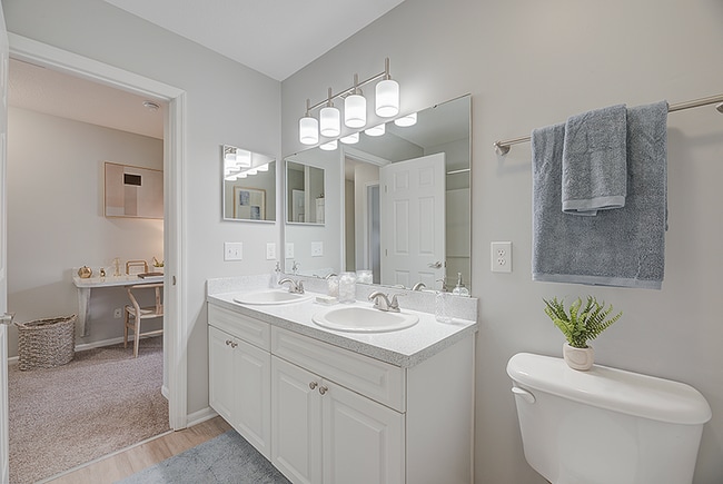 Double Vanity Bathrooms