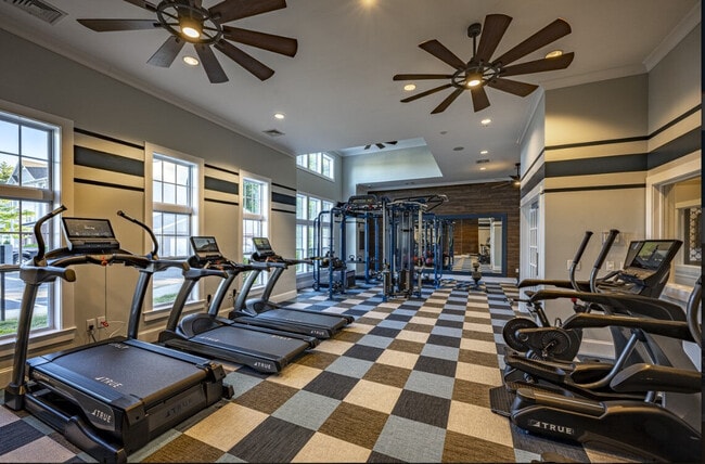 Photo - Halstead Holden