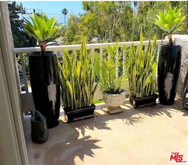 Photo - 28296 Rey De Copas Ln