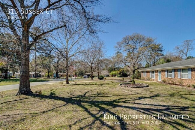 Photo - 313 Sussex Ct
