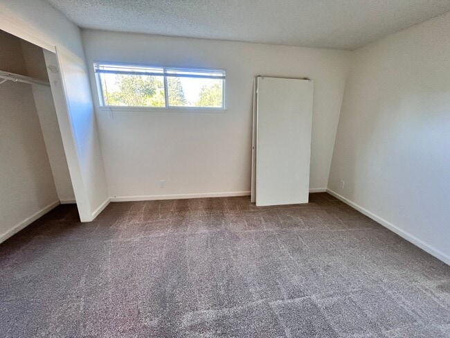 Photo - 2035 Mount Olive Dr