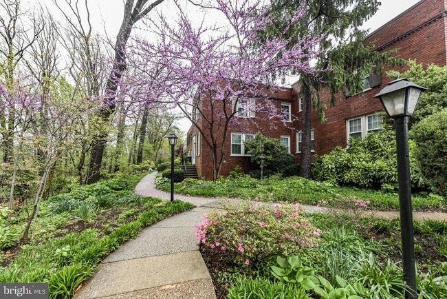 Photo - 1501 S Edgewood St Townhome