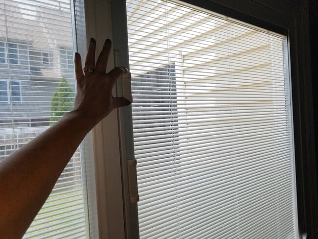 Photo - 31 Sally Ann Pl