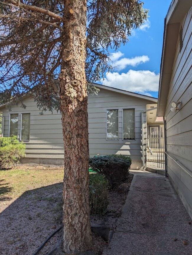 Photo - Incredible 3 Bedroom Home in McSorley Neighborhood