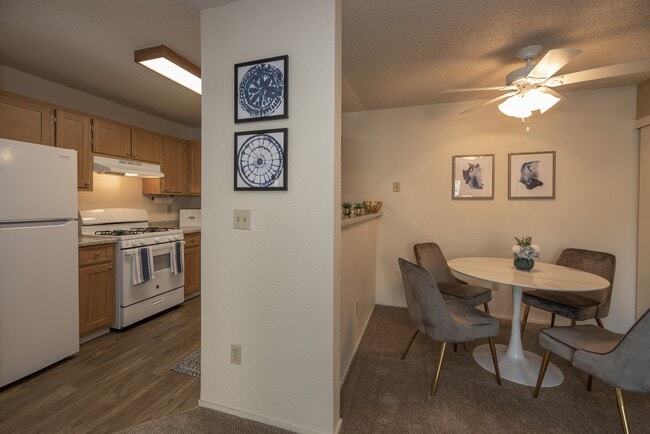 Photo - Canterbury Downs