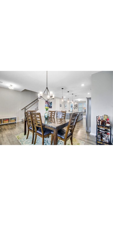 Photo - 1038 Magnolia Warbler Wy