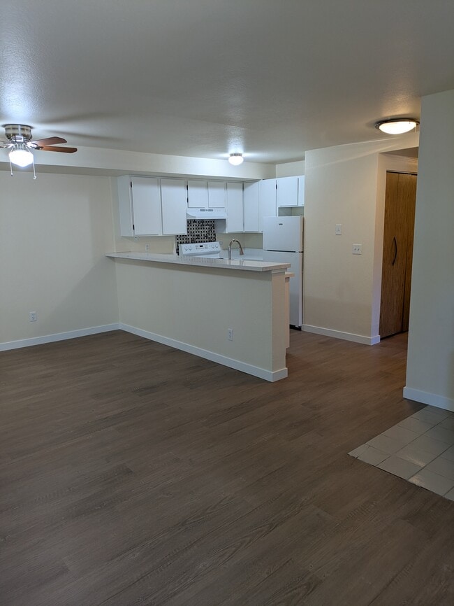 Photo - 29 Etruria St