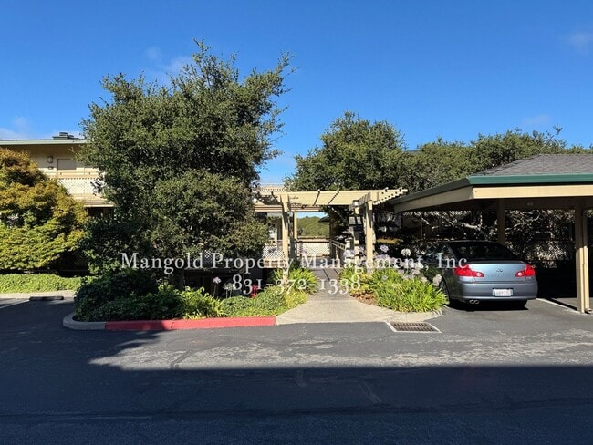 Building Photo - Spacious 2-Bed, 2-Bath Condo with Fireplac...