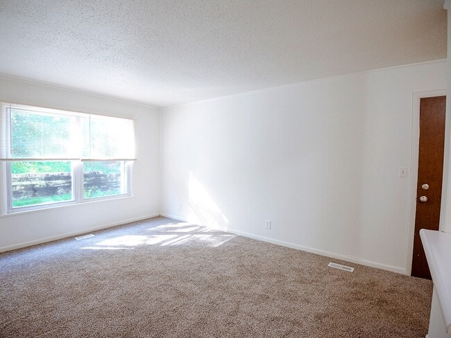 Cozy, Plush Carpeting