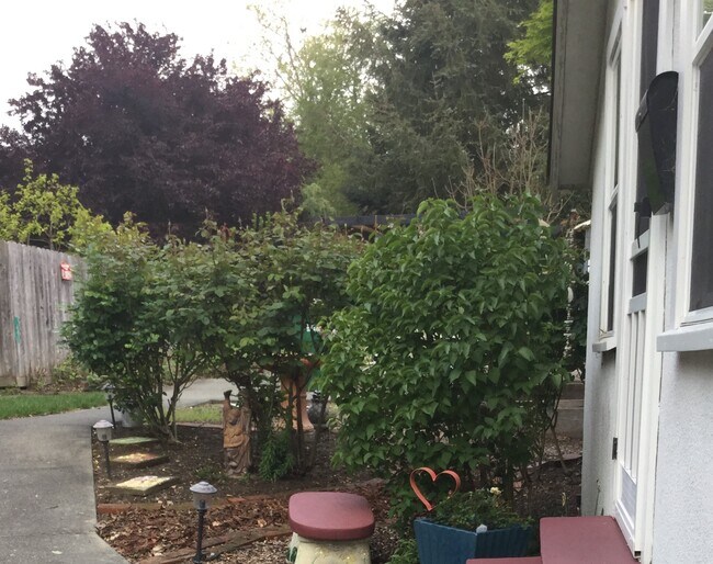 jardín de rosas junto al estudio - 205 Virginia Ave Unidad Delightful Studio