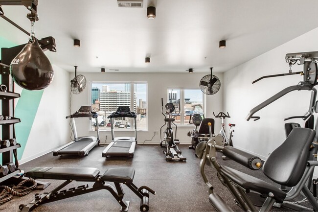 Photo - Harlow on Main