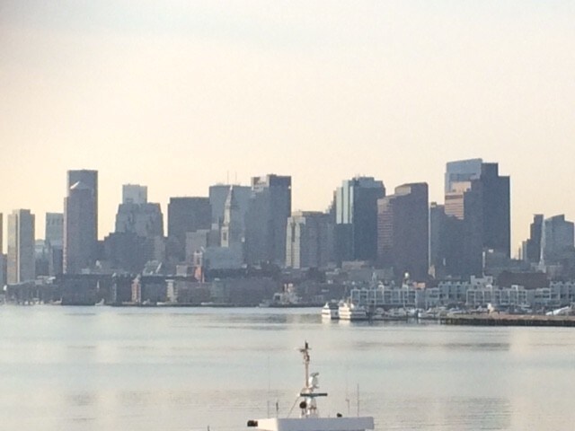 View from Roof Deck - 33 Medford St Unit 3