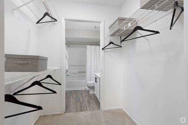 2BR, 2BA - 950SF - Closet